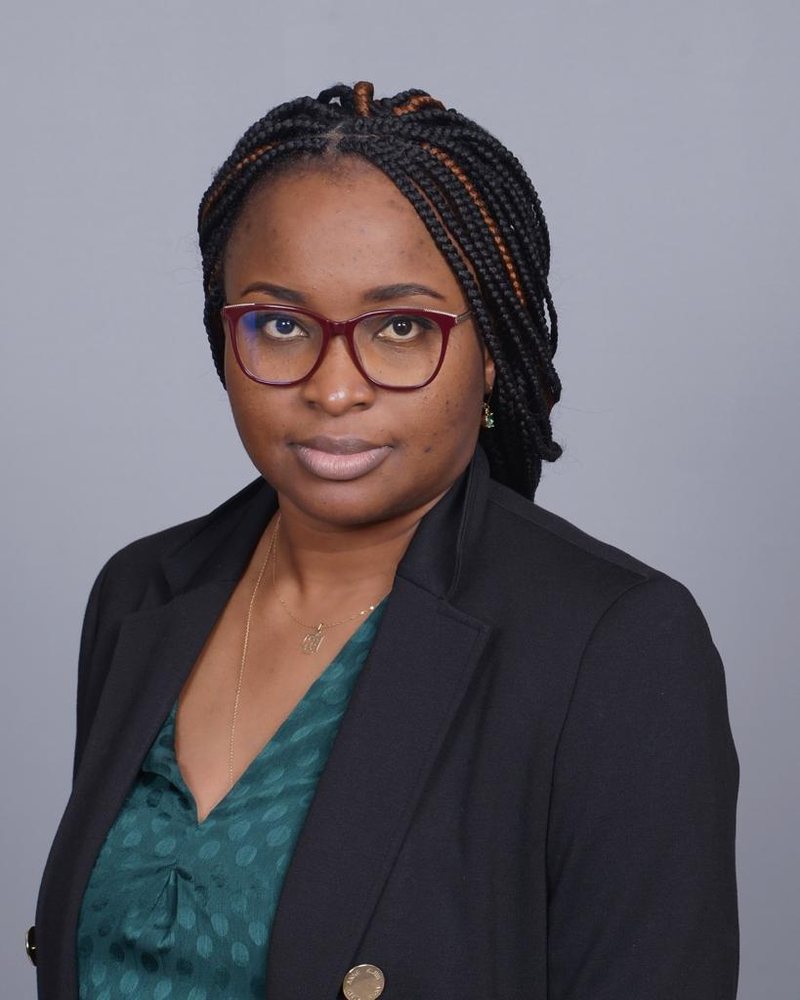 Georgie Djouguem, Auditor